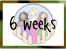 6_weeks_thumb.gif